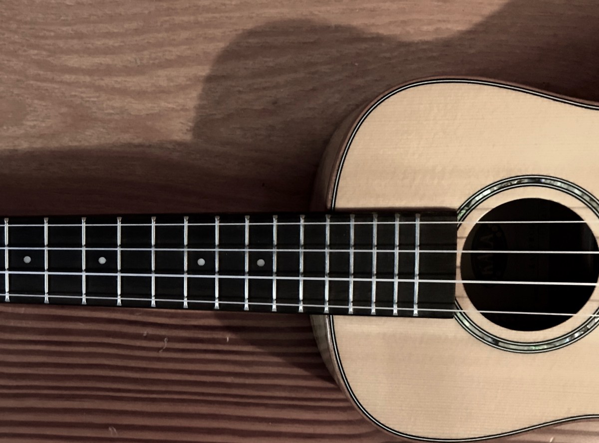 Classical Ukulele Fingerpicking Duets Andrea Gaudette